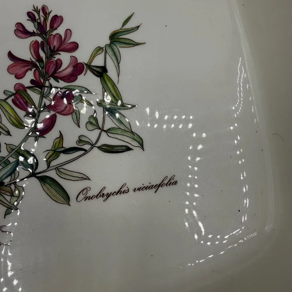 Vintage Villeroy & Boch Botanica 11